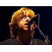 phish