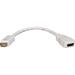 TecNec Mini-DVI to HDMI Adapter Cable