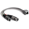 Studio Hub ADAPT-XLRF XLR Female to RJ-45