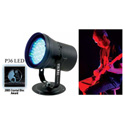 American DJ P36 LED Fixture
