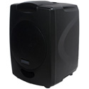 Ansr Audio The Brat Portable Sound System