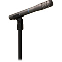 Audio Technica AT8033 Cardioid Condenser Handheld Microphone