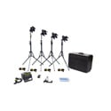 Dedolight K12B Basic Lighting Kit 100W