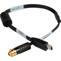 Sescom DSLR-550D-HOCF AV Out Headphone Monitoring Cable for Canon T2i/550D/60D DSLR & Magic Lantern USB Mini to 3.5mm TRS Female 1 Foot