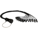 DT12 Male To Female XLR Breakouts
