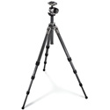 Gitzo GK2580QR Gitzo SER.2 6X 4S.Center BllL QR Kit