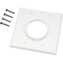 Double Gang Wireport Cable Plates with 1.8in Diameter Pass Through
