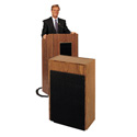 Oklahoma Sound #300 Medium Oak Auxiliary Speaker Cabinet
