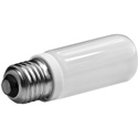 Photo Basics 553 100Watt Halogen Lamp