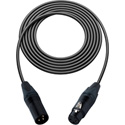 Premium XLR Microphone Cables Featuring Canare Star Quad Cable and Neutrik Black and Gold XLR Connectors