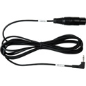 Sescom SES-TR-153 Female  XLR to RA 3.5mm 1/8 Pro DSLR Mic Cable 10 Ft