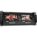 Delvcam Dual 7in Tilting Rackmount Color Monitor