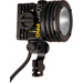 Lowel Pro Light 12V / 30V / 120V Light