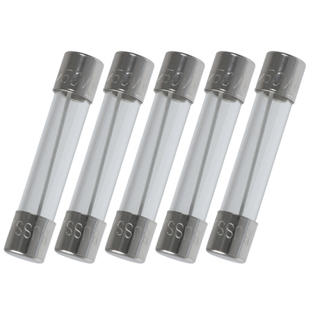 3AG Type 2.0 Amp Fast-Blo Glass Fuse - 5-Pack