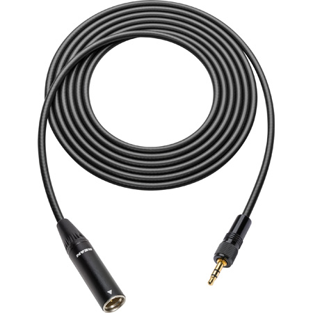 Sescom SC100T3MZLK TRS 3.5mm Locking Plug to 3-pin Mini XLR Analog Audio Cable- 100 Foot