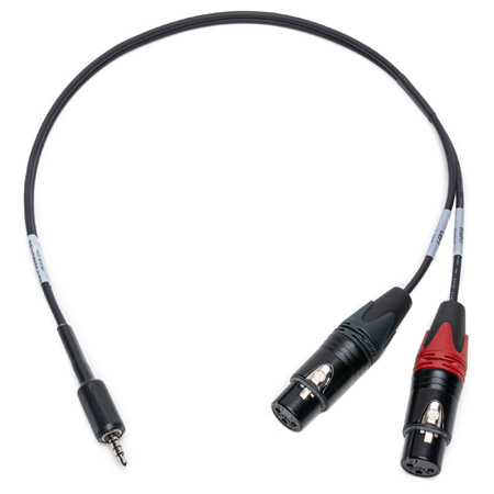 Sescom SES-IPSUMXLR12IN iPod/iPad Compatible Summing Cable Dual 3-Pin XLR-F to 3.5mm TRRS Male Line to Mic Level - 12In.