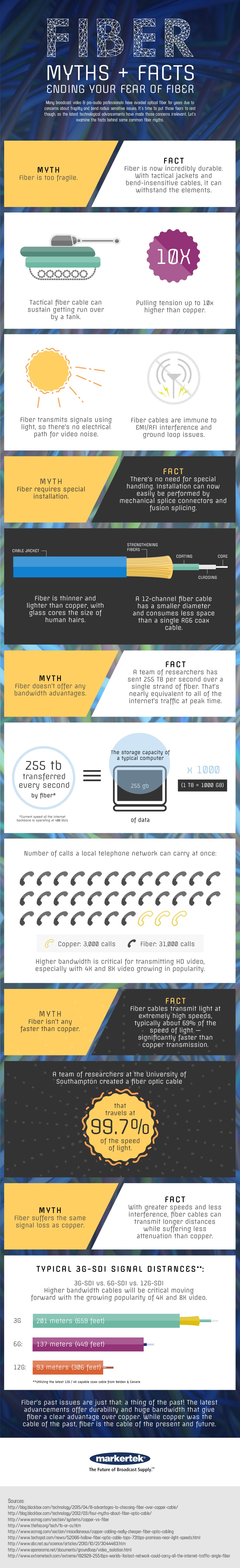 Ending Your Fear of Fiber Infographic