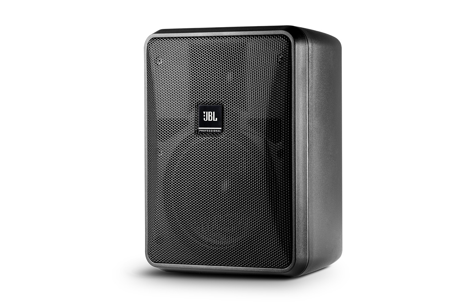 JBL Control 251 Compact Indoor/Outdoor Background/Foreground Speaker