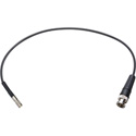 Laird 12GDIN4855-B-001 Belden 4855R 12G DIN 1.0/2.3 to Male BNC Cable - 1 Foot