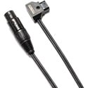 IndiPro Tools XLR4PT 32 Inch P-Tap to 4-Pin XLR Female Cable