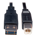 Tripp Lite UR022-010 USB 2.0 Reversible A Male to B Male Cable - 10 ft.