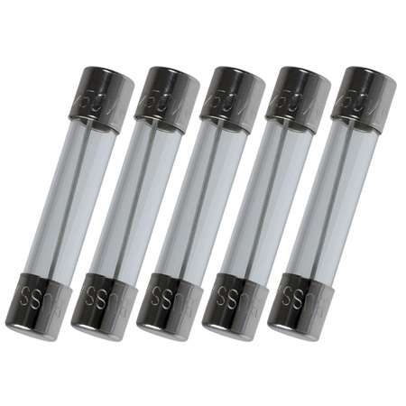 3AG Type 0.25 Amp Fast-Blo Glass Fuse - 5-Pack