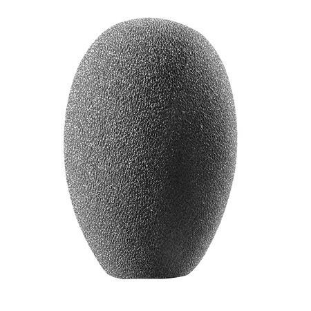 Primary Image