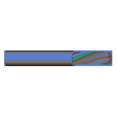 Primary Image