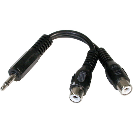 Primary Image