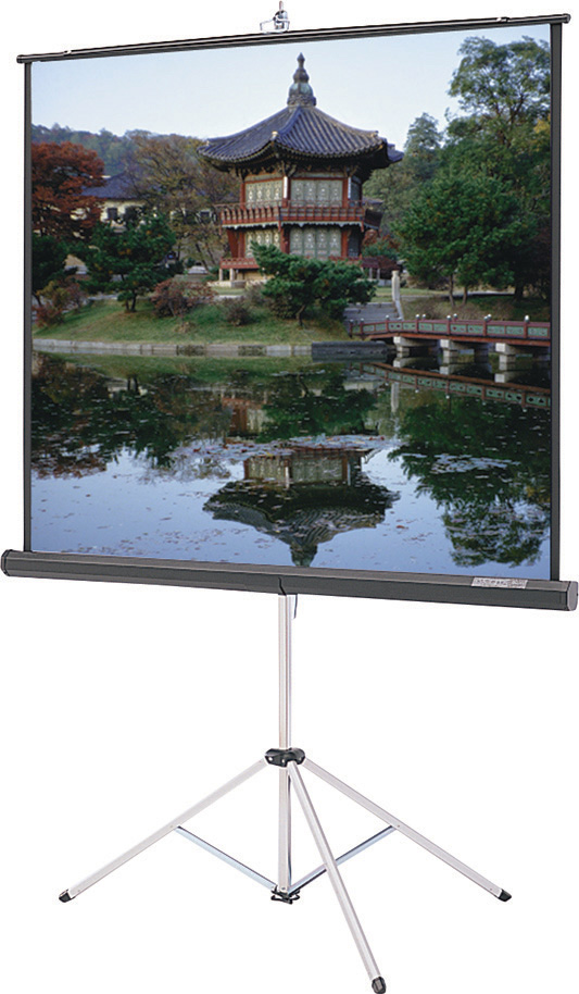 DaLite 40114 Picture King 50x50 Matte White Tripod Projection Screen
