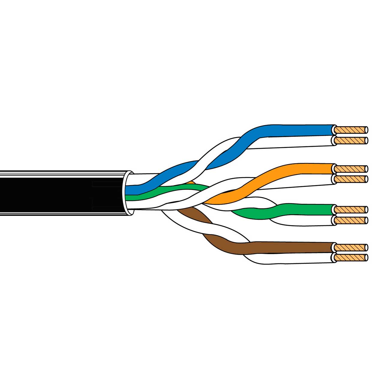 Belden 1592A CM Rated Cat5e Premise Patch U/UTP Ethernet Cable (200MHz)  4-Pr 24AWG Black 1000 Foot