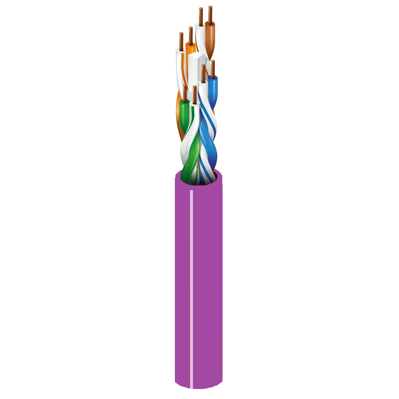 Belden 7883A Riser/CMR CAT6 Ethernet Patch Cable 4-Pair U/UTP PVC ...