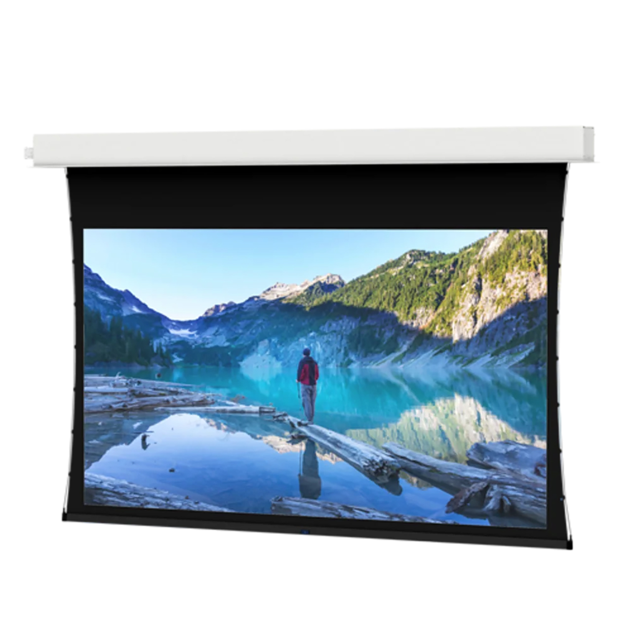 Da-Lite 84402LS Tensioned Advantage Ceiling Recessed Electric Screen ...