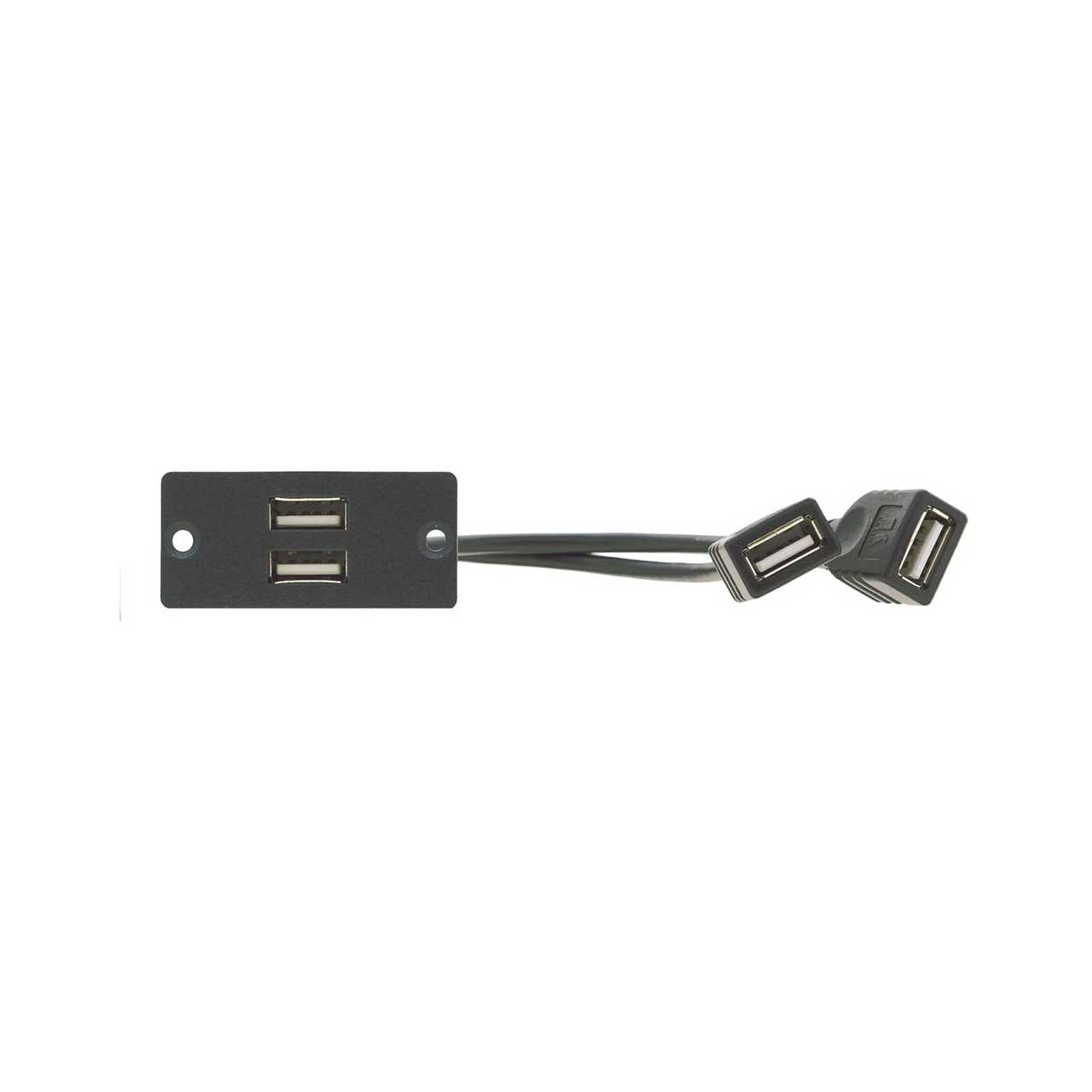 Kramer WU-2AAG 2 x USB 2.0 A/A Wall Plate Insert - Gray WU-2AA(G)