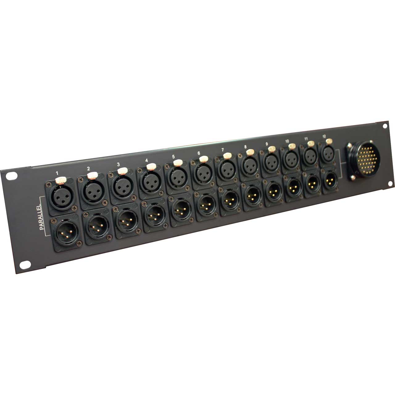 Sescom SES-DT12MXMF-P DT12 Male Audio Patch Panel with 12 parallel XLR channels