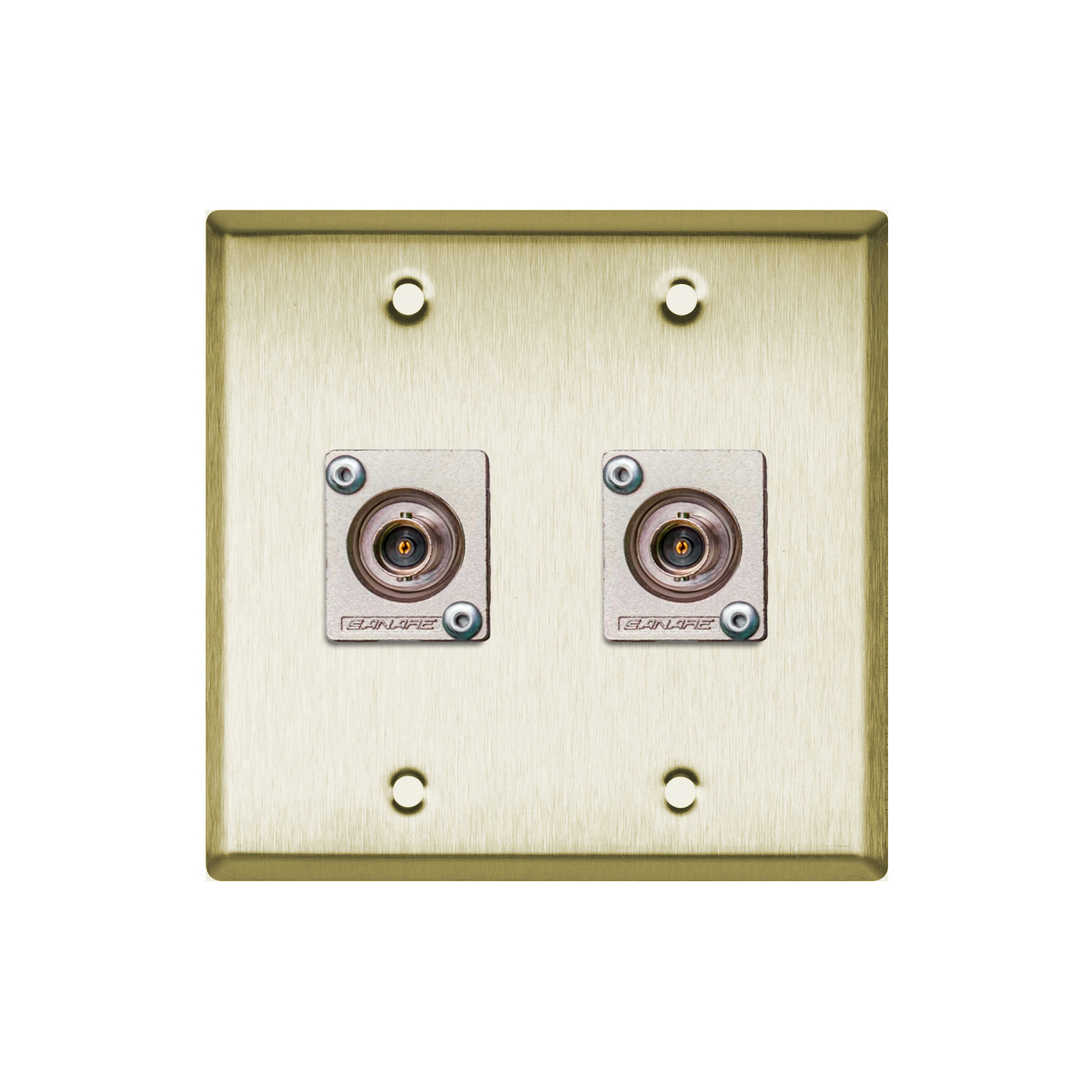 My Custom Shop WPBR2107 2Gang Brass Wall Plate with 2 Canare BCJJRUK