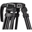 Product Image Thumbnail 2 of 5