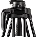 Product Image Thumbnail 2 of 5