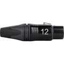 Product Image Thumbnail 2 of 3