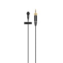 Product Image Thumbnail 2 of 2