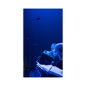 Product Image Thumbnail 3 of 3