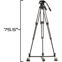 Product Image Thumbnail 3 of 5