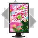 Product Image Thumbnail 4 of 5
