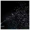 Product Image Thumbnail 5 of 5