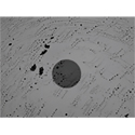Product Image Thumbnail 5 of 5