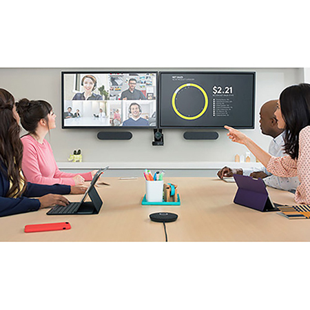 Logitech Rally Plus UHD 4K Conference Camera System with Dual-Speakers ...
