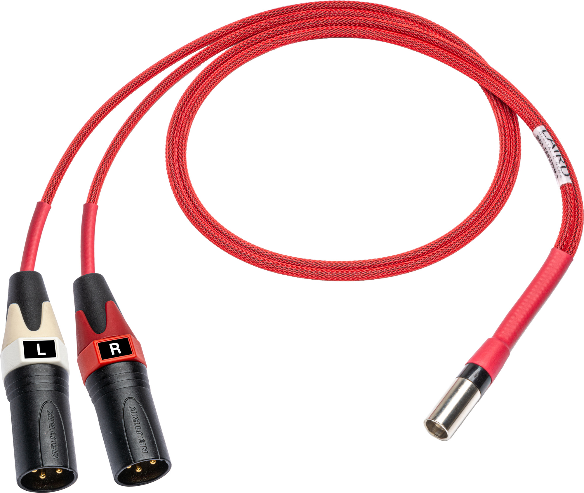 Laird RD1-TA5M2XM-18IN Line Audio Out Breakout for Red One Camera 5-Pin Mini XLR Male to Dual 3-Pin XLR Male - 18 Inch