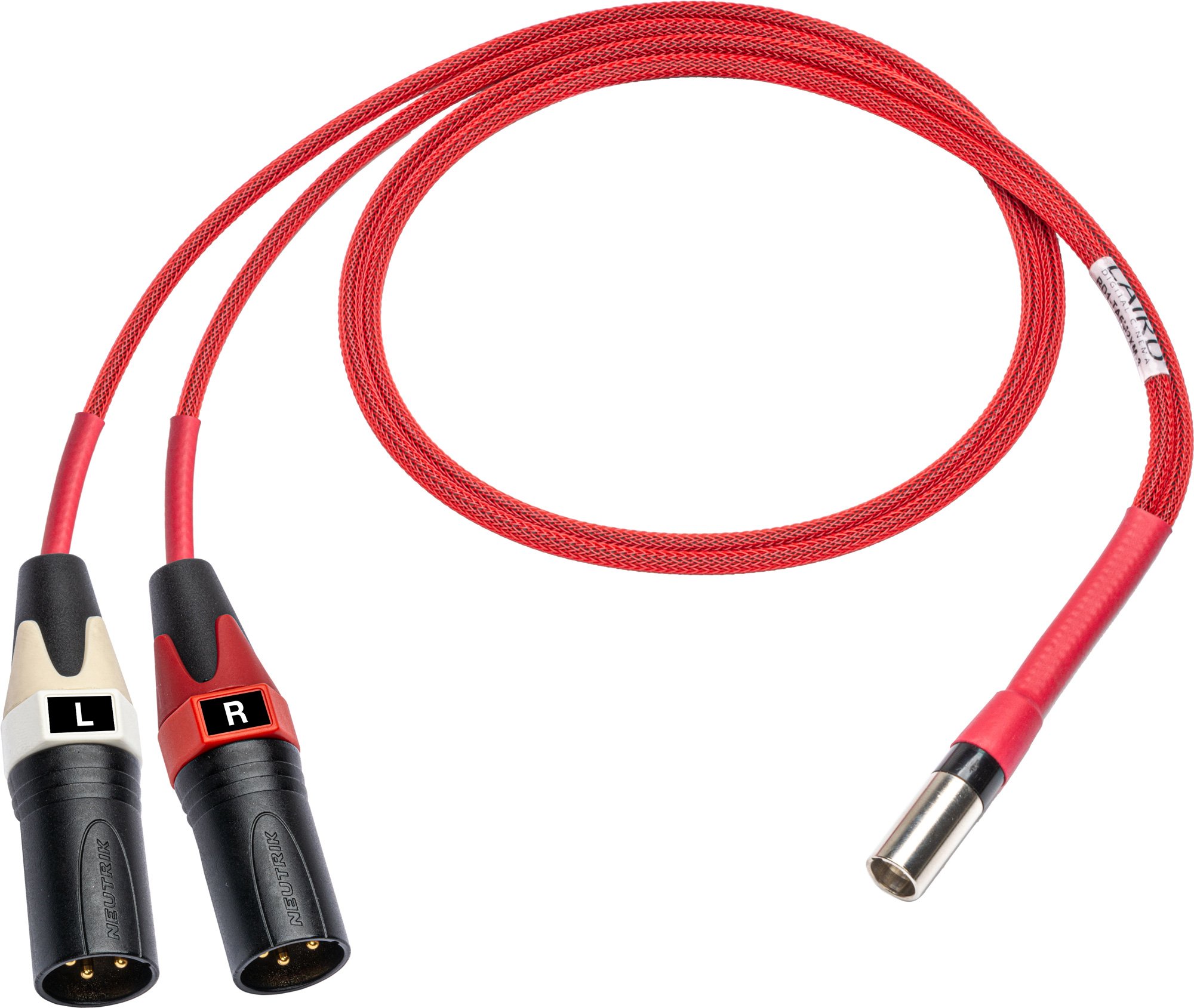 Laird RD1-TA5M2XM-3 Line Audio Out Breakout for Red One Camera 5-Pin Mini XLR Male to Dual 3-Pin XLR Male - 3 Foot