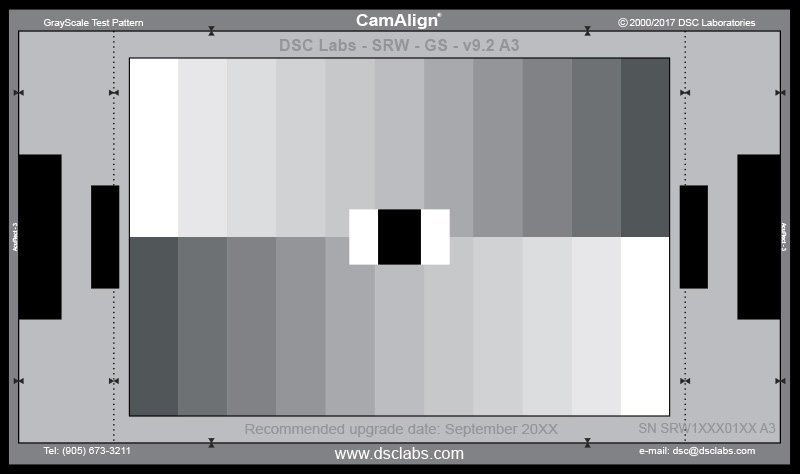 DSC Labs SRW-GS 11 Step Senior Grayscale Chart (24x14.7 Inch) SRW-GS