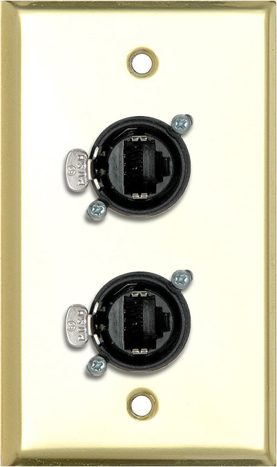 1G Brass Wall Plate w/ 2 Neutrik RJ45 To Rear IDC110 Terminals
